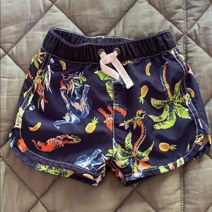 Hanna Andersson Swim Trunks
